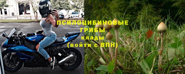 прущие грибы Бугульма