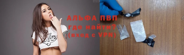 СК Вязьма