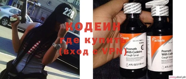 шишки Иннополис